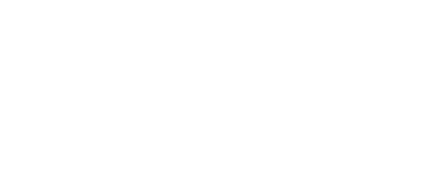VS Brothers